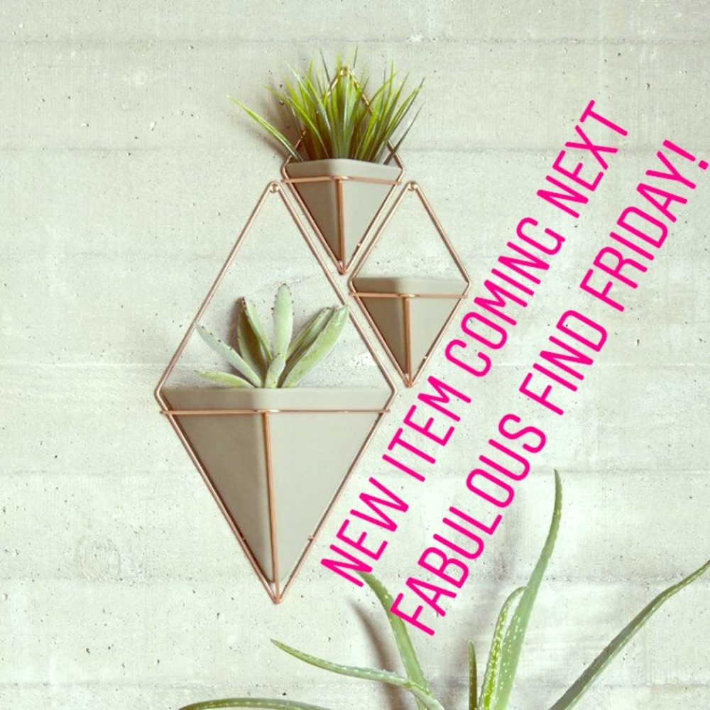 ↂ New Item Coming Next Fabulous Find Friday ↂ